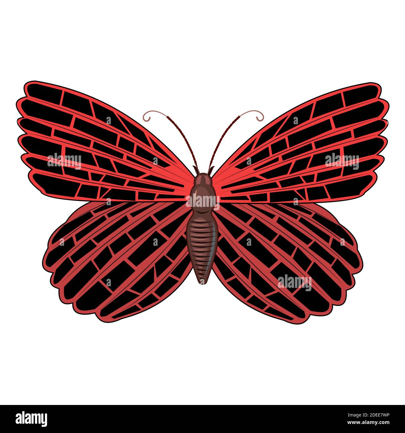 上質リバーシブル／蝶々butterfly ピンク×レッド　トルコヴィンテージラグ m17484649879_1.jpg?1751951039