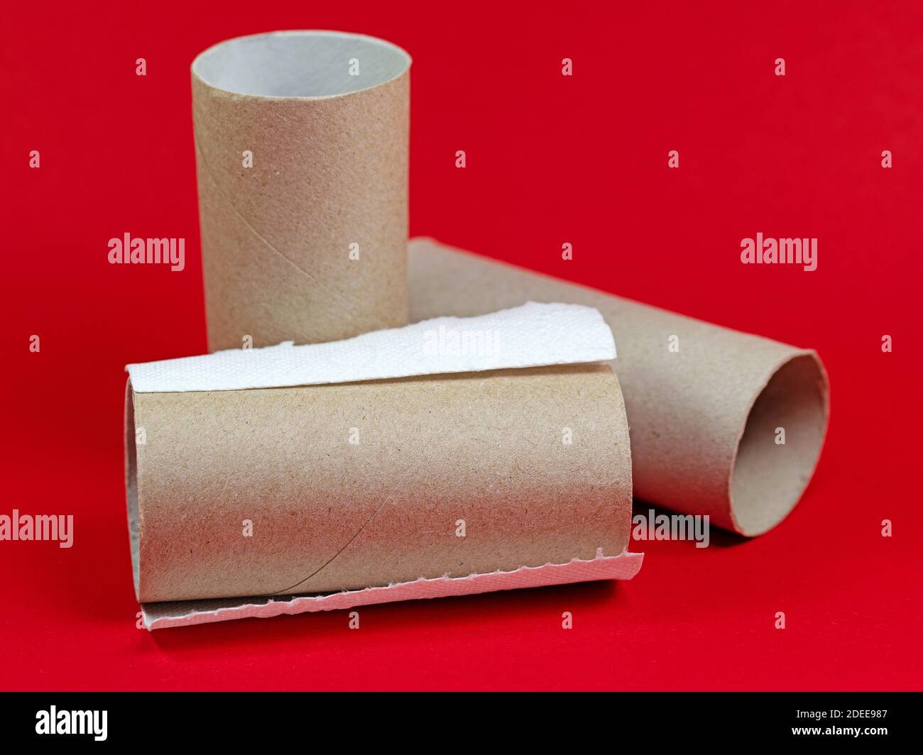 Used toilet paper rolls against a red background Stock Photo Alamy