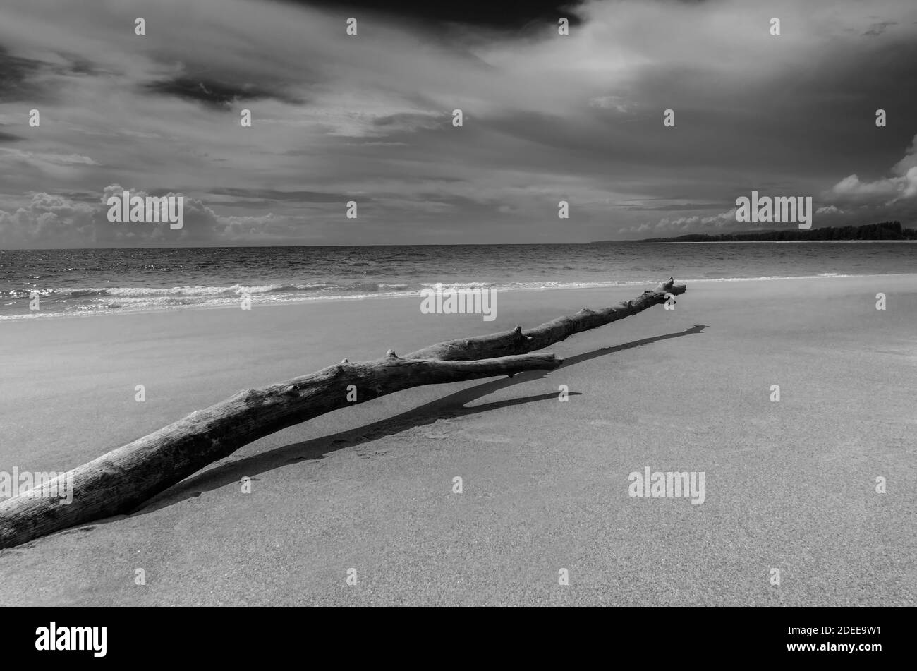 Beach sand and blue sea beautiful landscape nature in blue sky, Black and white and monochrome style Stock Photo
