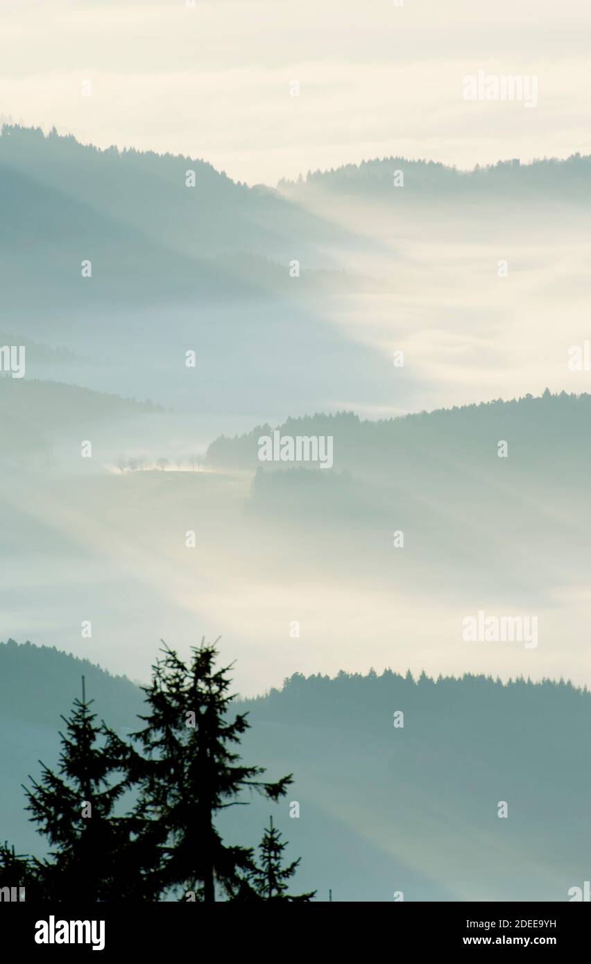 Beautiful destination, the Black Forest in Southern Germany Stock Photo