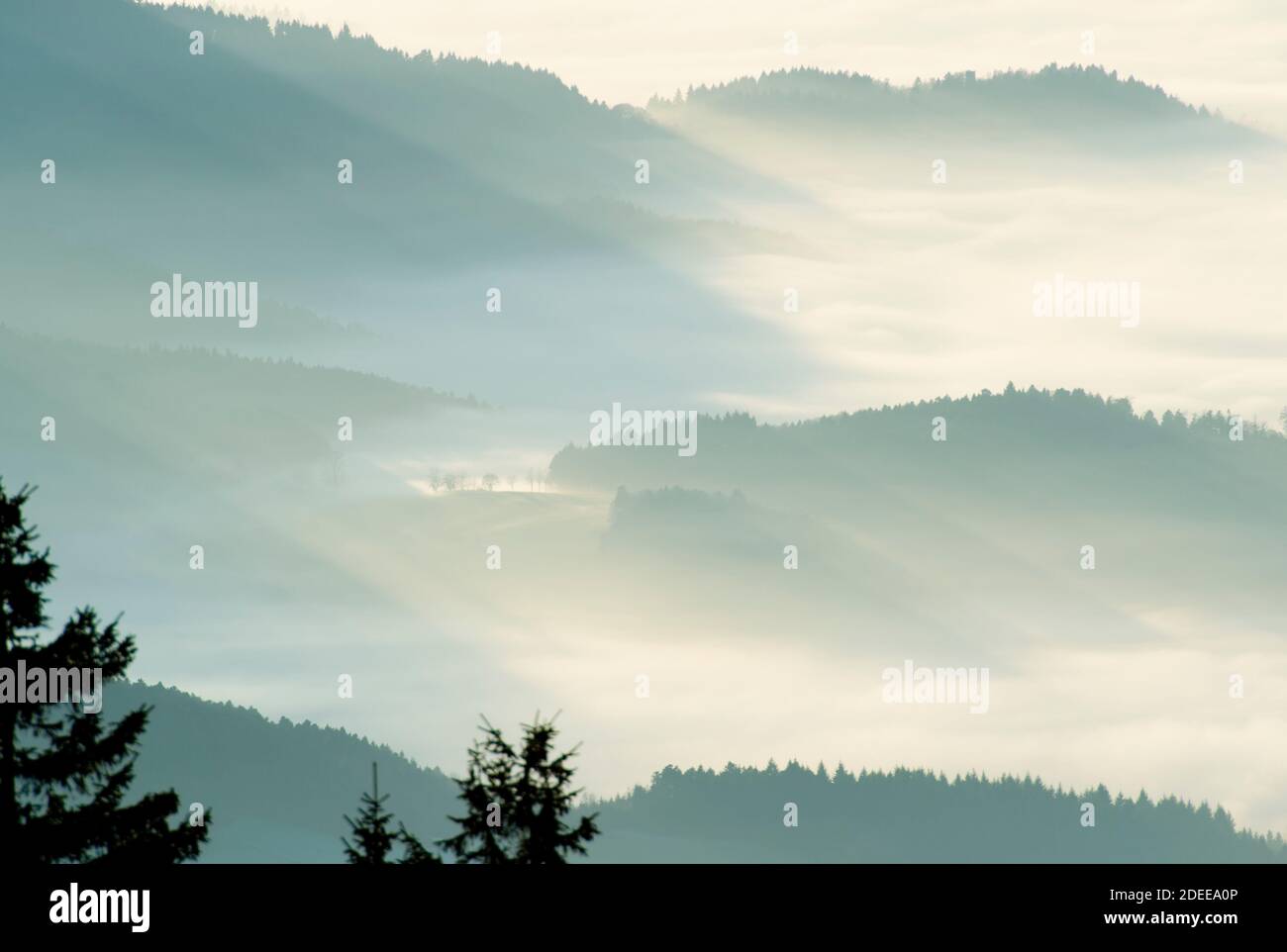 Beautiful destination, the Black Forest in Southern Germany Stock Photo