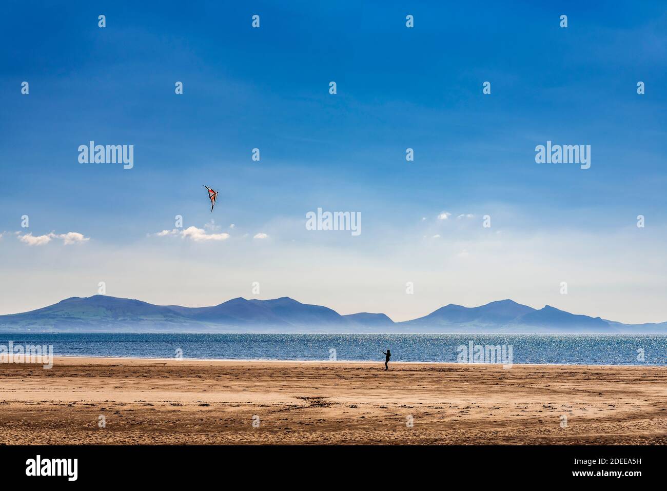 The beach at Llanddwyn Bay. Anglesey North Wales. Youngster flying a kite with the Lleyn penisula hills in the background. Stock Photo