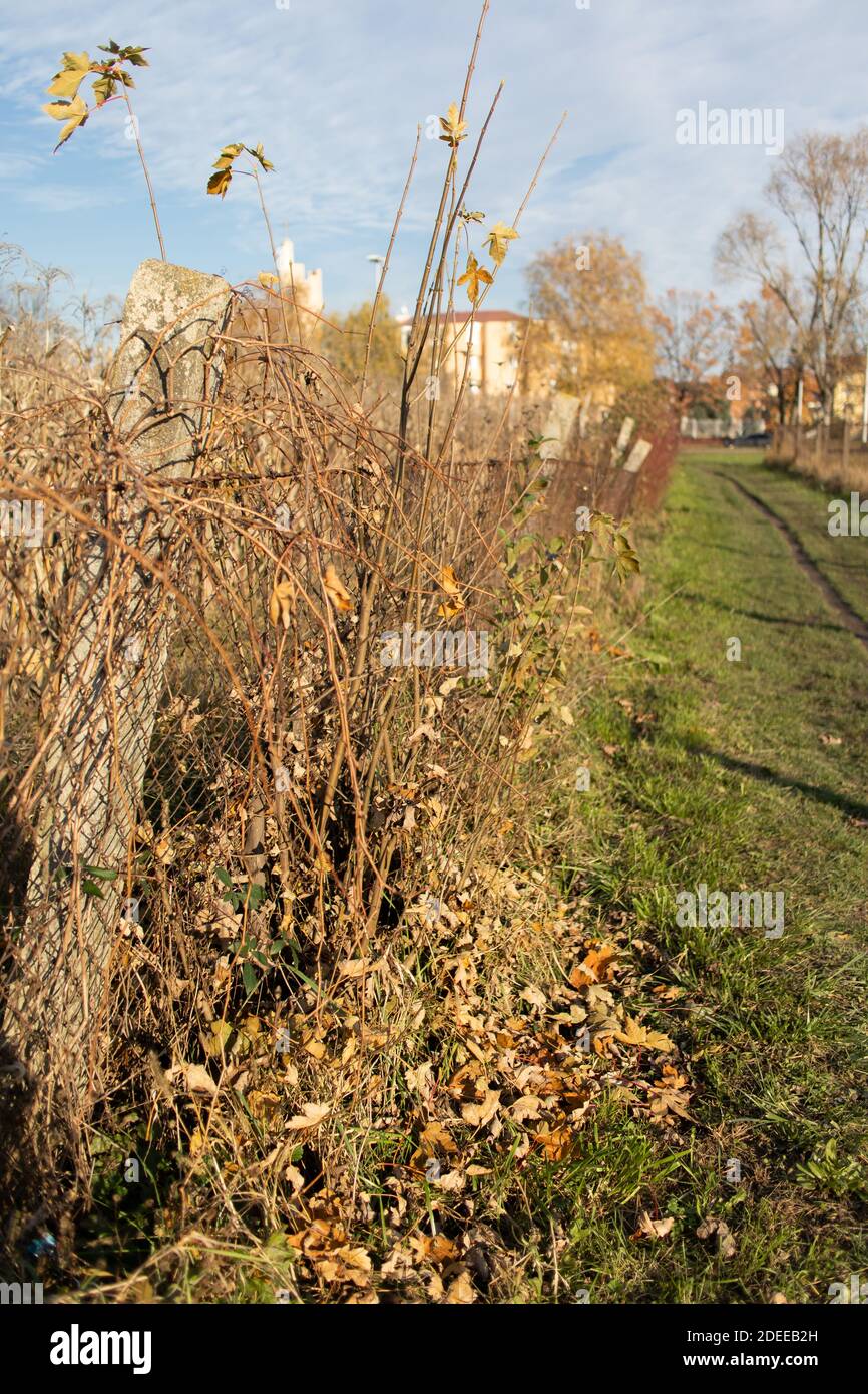 Landscape photograph in autumn Stock Photo