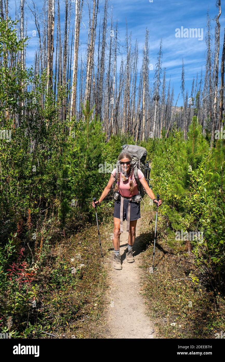 WA17703-00.....WASHINGTON - Woman backpacking the Boundary Trail #533 near Iron Gate in the Pasayten Wilderness, Okanogan Wenatchee National Forest. Stock Photo