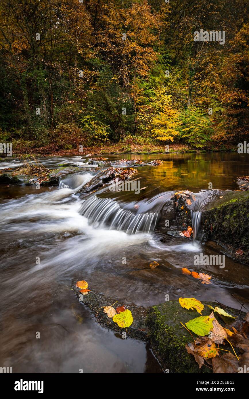 Reflection of autumn colour in Derwent River with small waterfall in foreground. Stock Photo