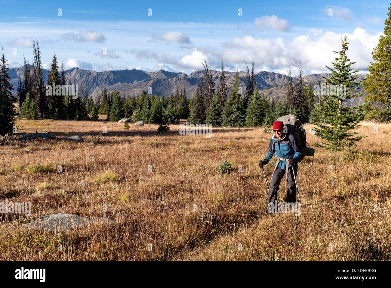 WA17713-00.....WASHINGTON - Woman backpacking along the Boundary Trail #533 in the Pasayten Wilderness, Okanogan Wenatchee National Forest. Stock Photo