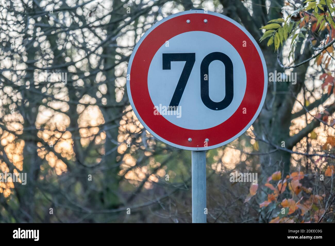 A speed limit sign for 70 km/h near the trees Stock Photo - Alamy