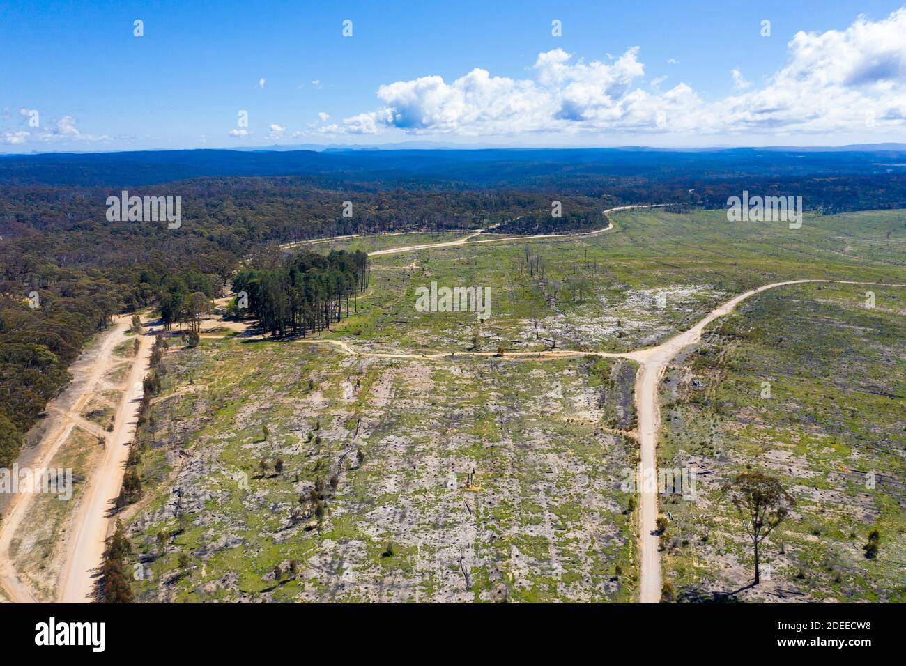 Cleared forest australia hi-res stock photography and images - Alamy