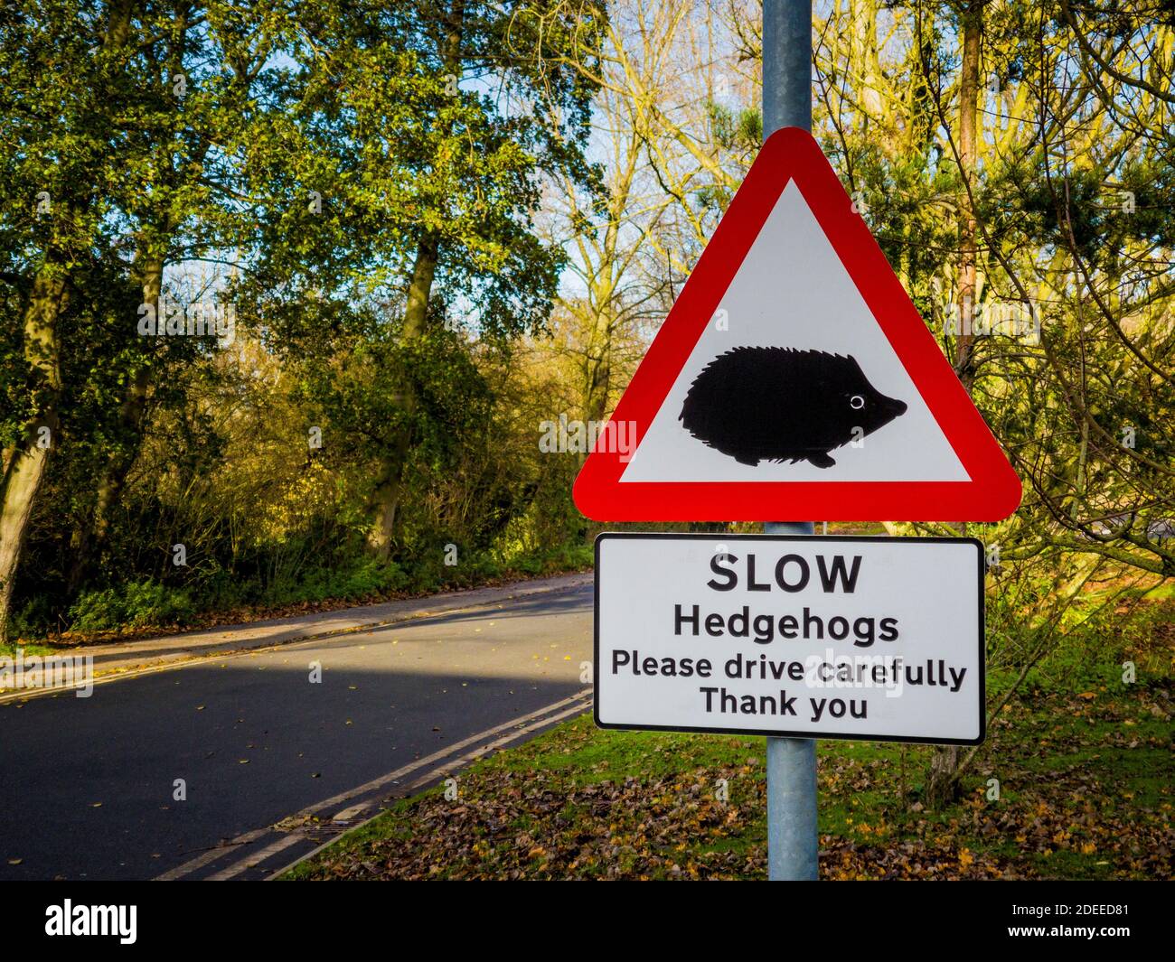 SLOW Hedgehogs. Please drive carefully. Sign at side of road Stock Photo