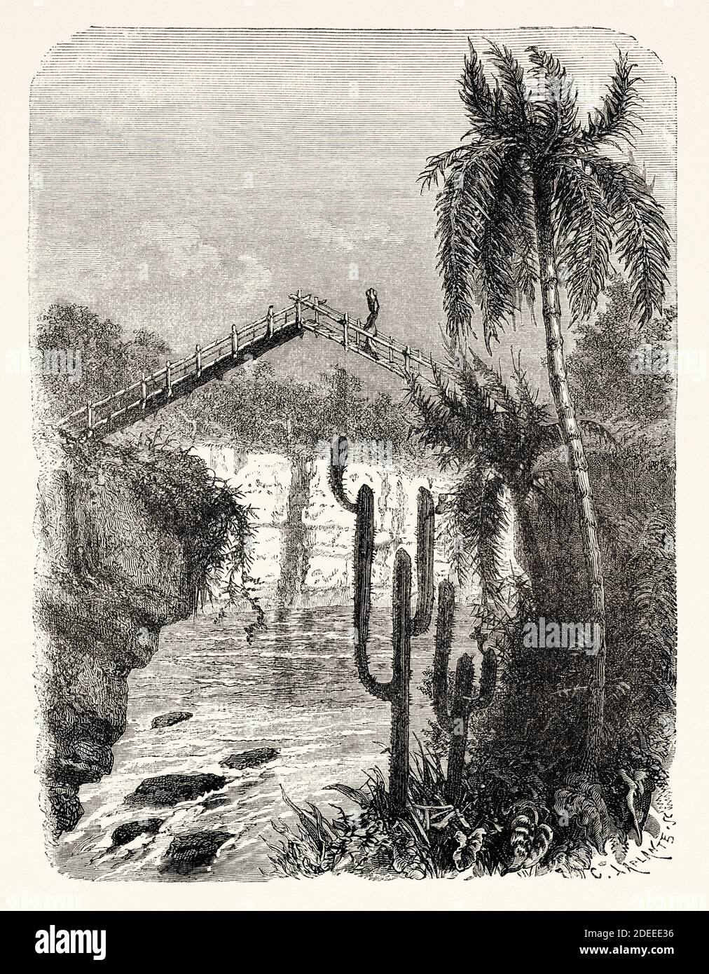 Traditional bamboo bridge, Valle del Cauca, Santiago de Cali, Colombia