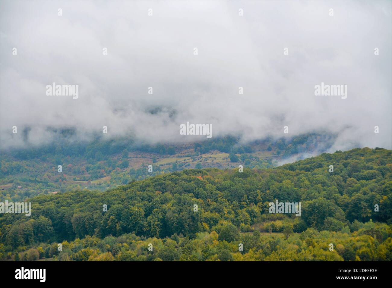 A beautiful shot of fog over the forest in a mountainous area Stock ...