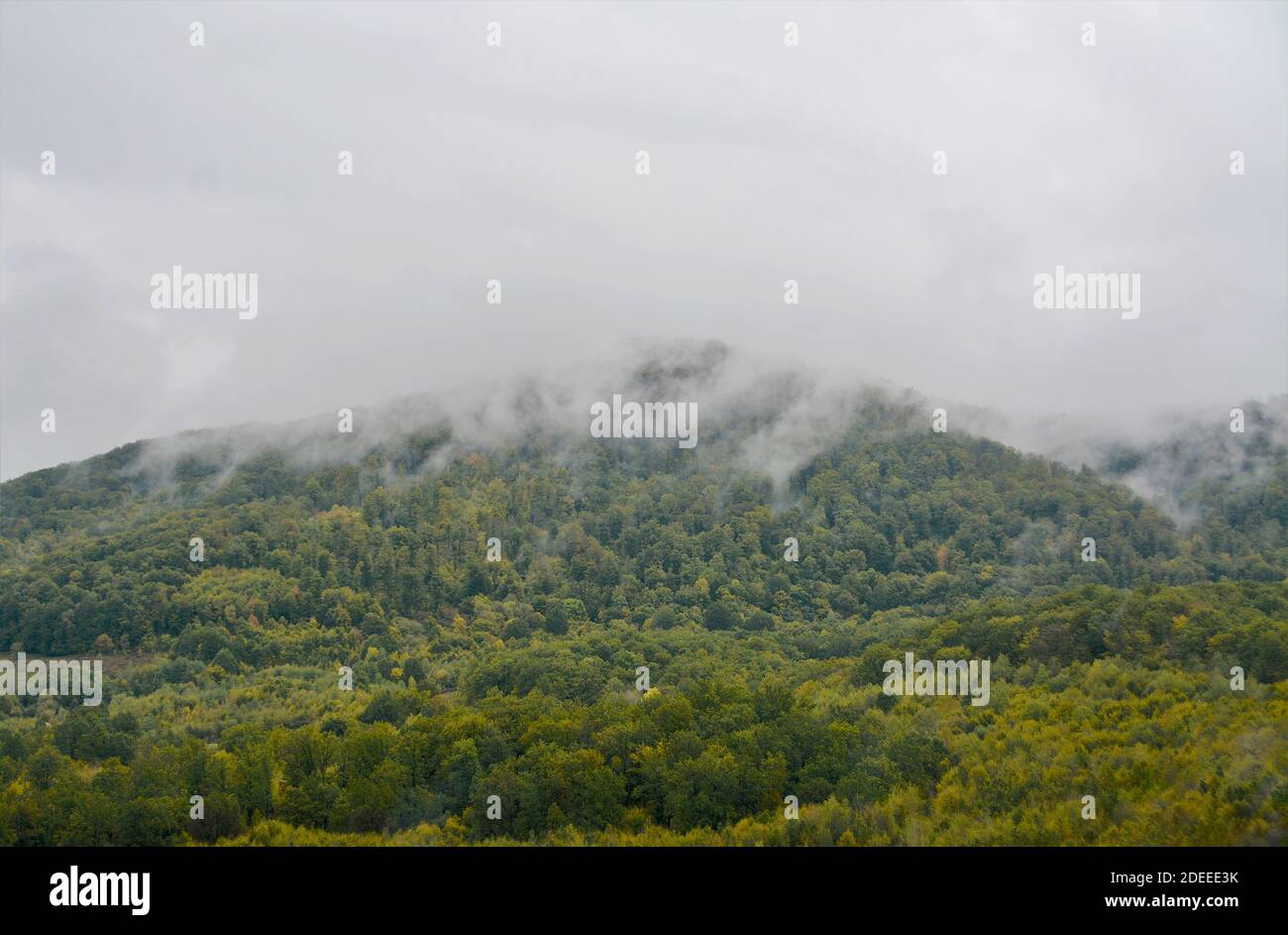 A beautiful shot of fog over the forest in a mountainous area Stock ...