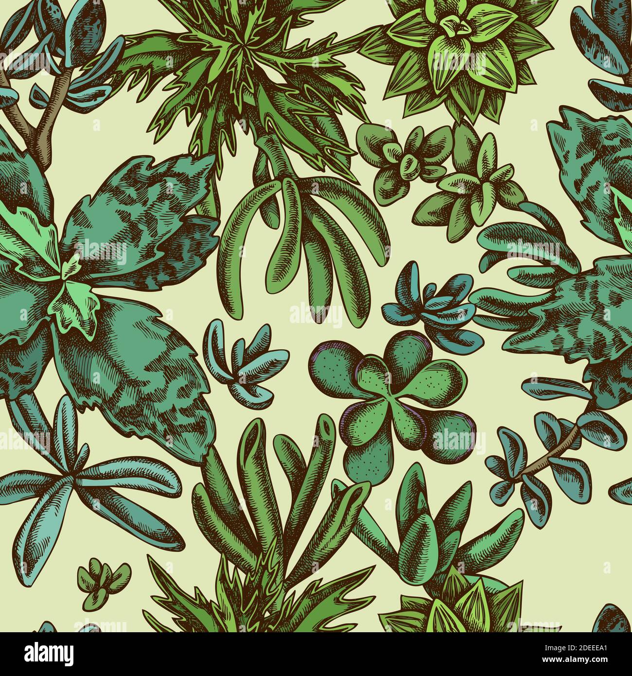 Seamless pattern with hand drawn colored succulent Stock Vector Image ...