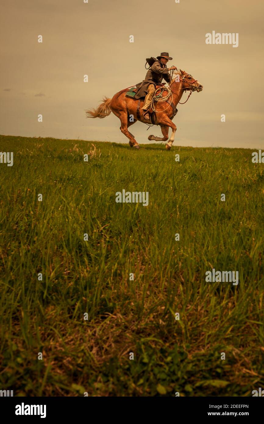 Cowboy on horse hi-res stock photography and images - Alamy