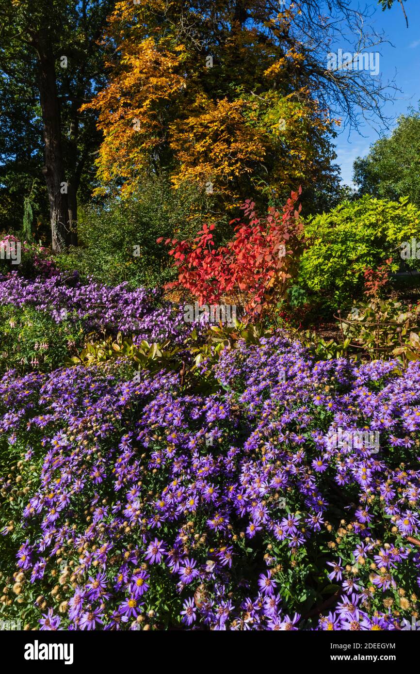 England, Surrey, Guildford, RHS Wisley, Autumn Colours Stock Photo