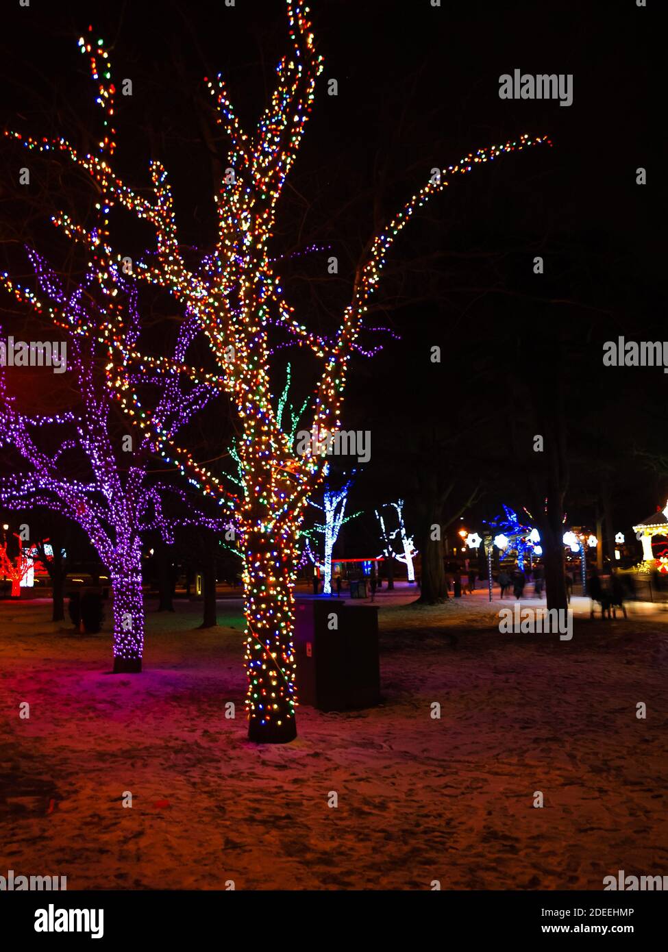 Strong roots hi-res stock photography and images - Alamy