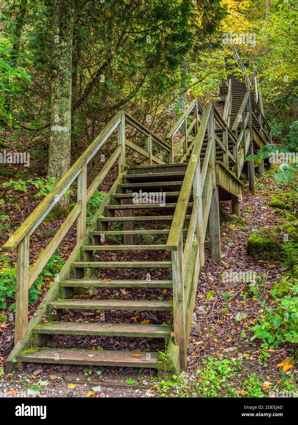 Stairs to Point Lookout above Sugar Loaf Rock, Mackinac Island State Park, Mackinac Island, Michigan. Stock Photo