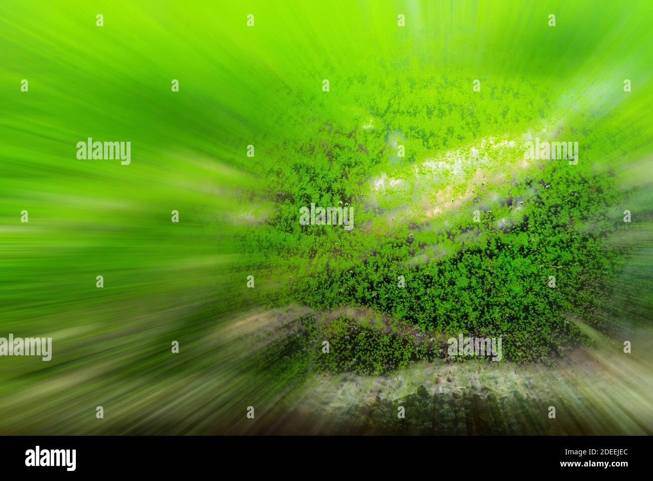 Dirty glass of aquarium. Algae growing on the surface of fish tank