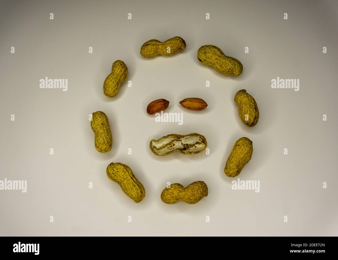 peanuts on a white background Stock Photo - Alamy