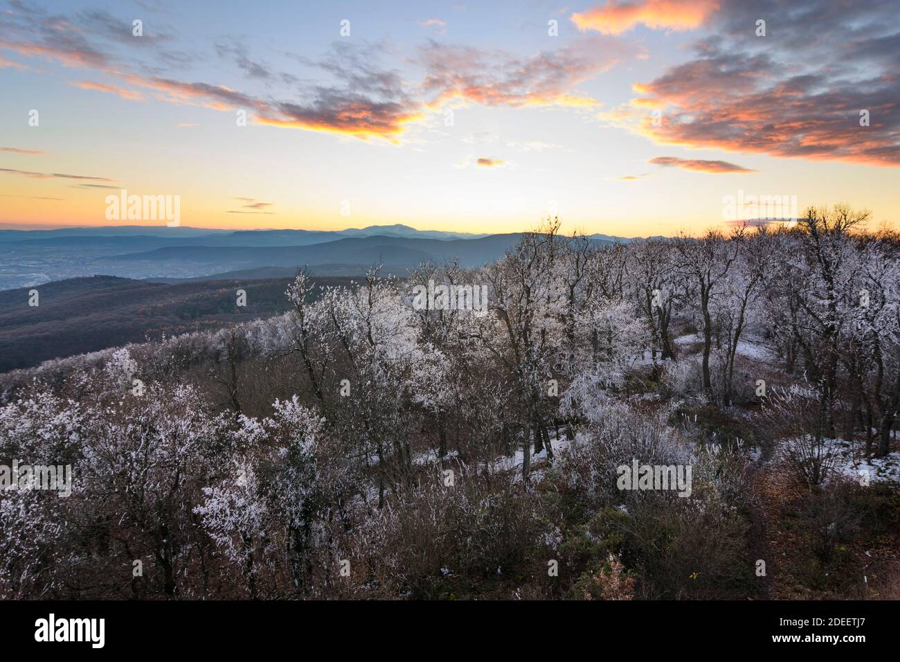 Gaaden: view from observation tower Wilhelmswarte at mountain Anninger to South with Wienerwald and Alps, rime ice on tree tops, sunset in Wienerwald, Stock Photo