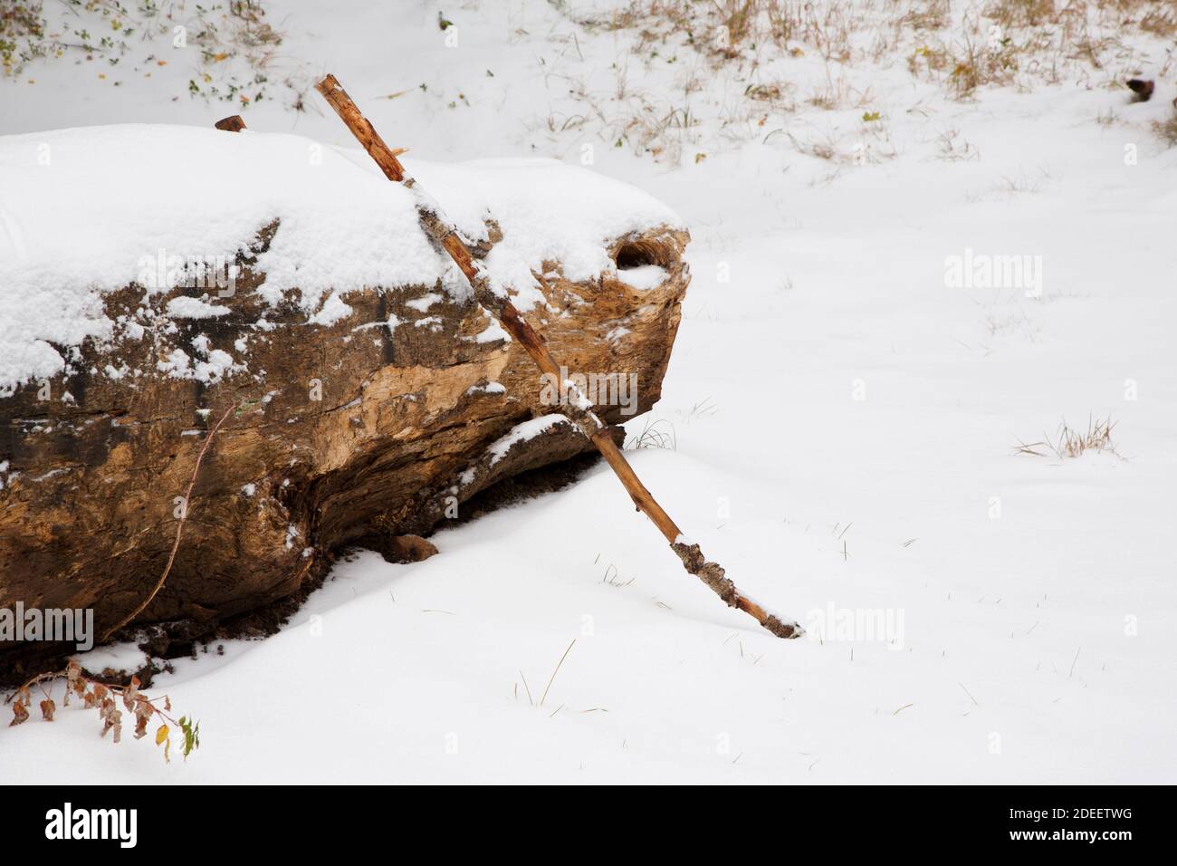 Hiking stick hi-res stock photography and images - Alamy