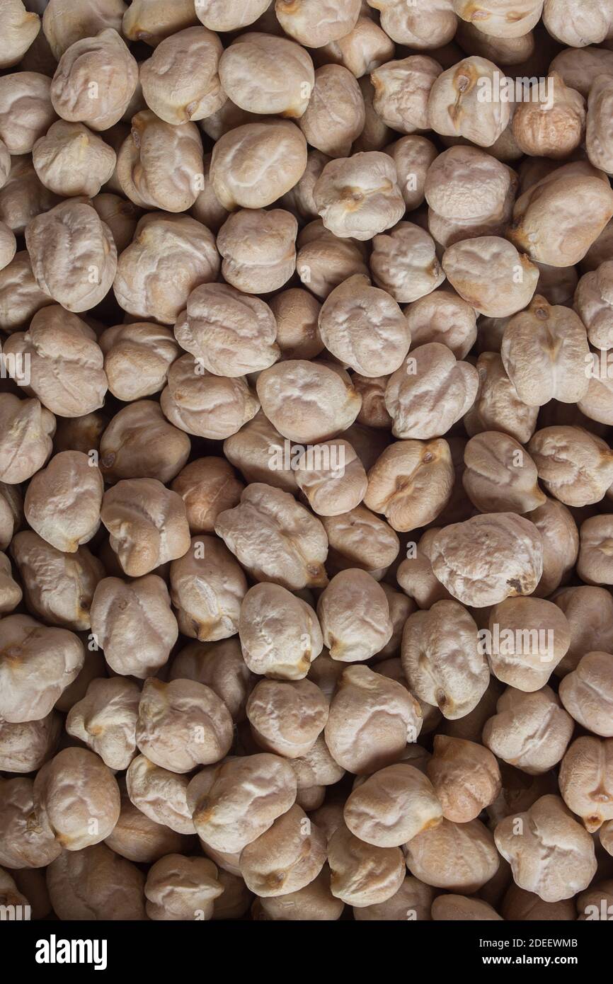 Closeup of a plate full of raw white chickpeas . Organic textures as a background. Vegan food. Stock Photo