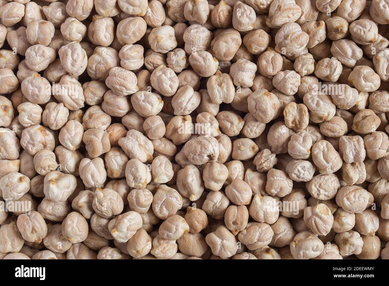 Closeup of a plate full of raw white chickpeas. Organic textures as a background. Vegan food. Stock Photo