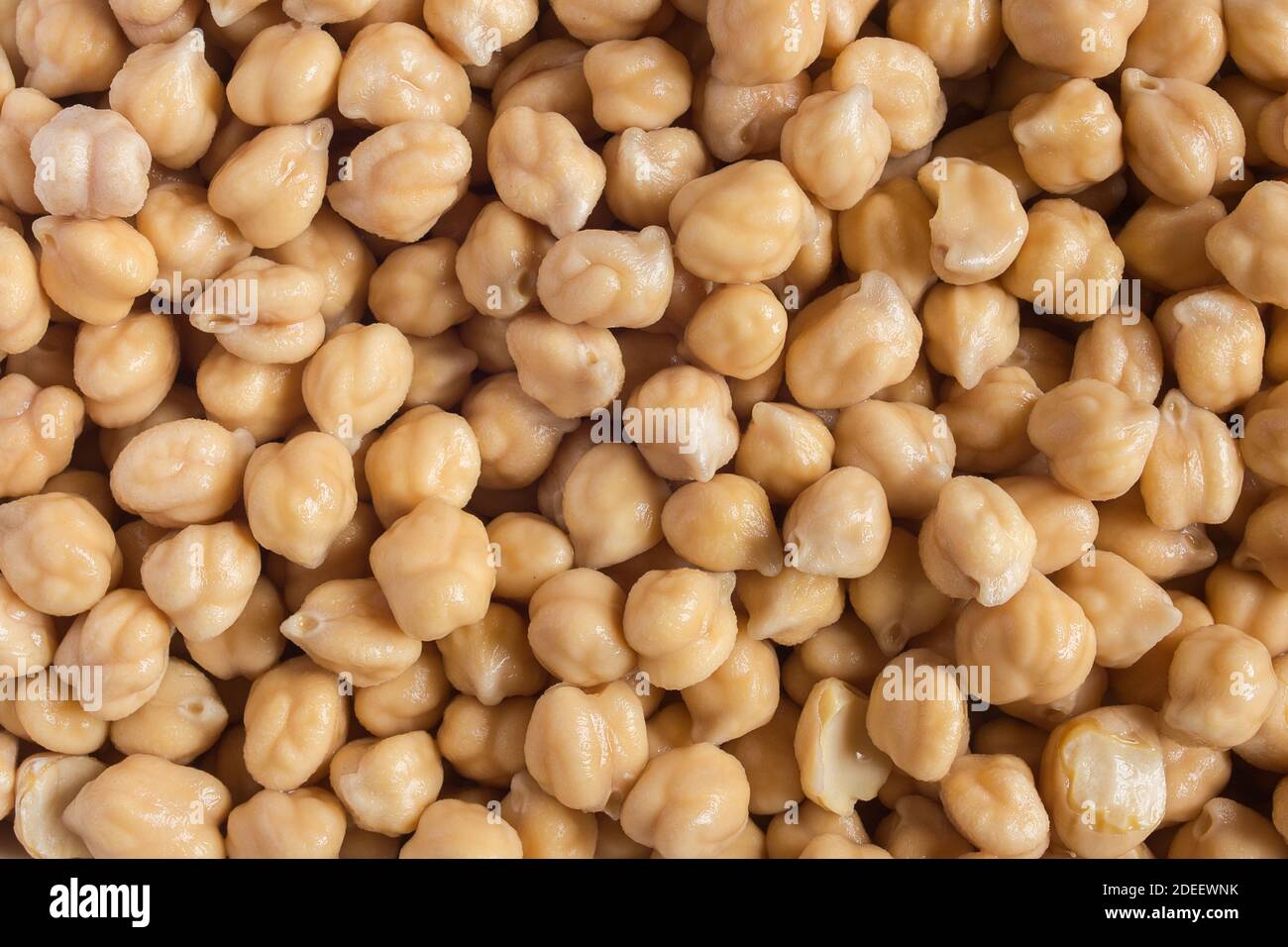 Close-up of a plate full of raw white chickpeas that turn yellow after soaking. Organic textures as a background. Vegan food. Stock Photo