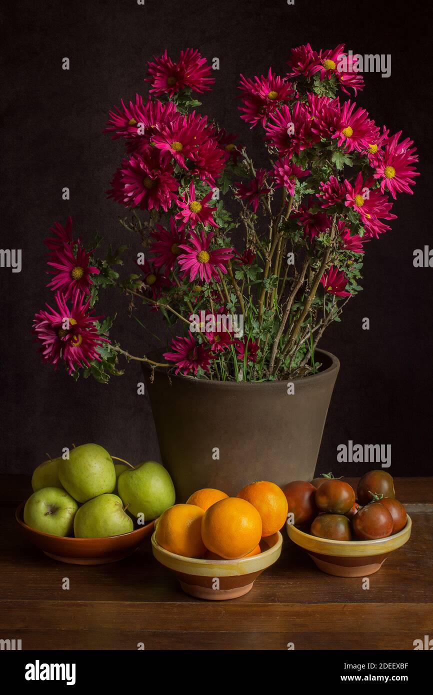 Autumn still life of a group of fruits and vegetables on clay jars with a rustic flowerpot and a chrysanthemum with red blooming flowers on a table. Stock Photo
