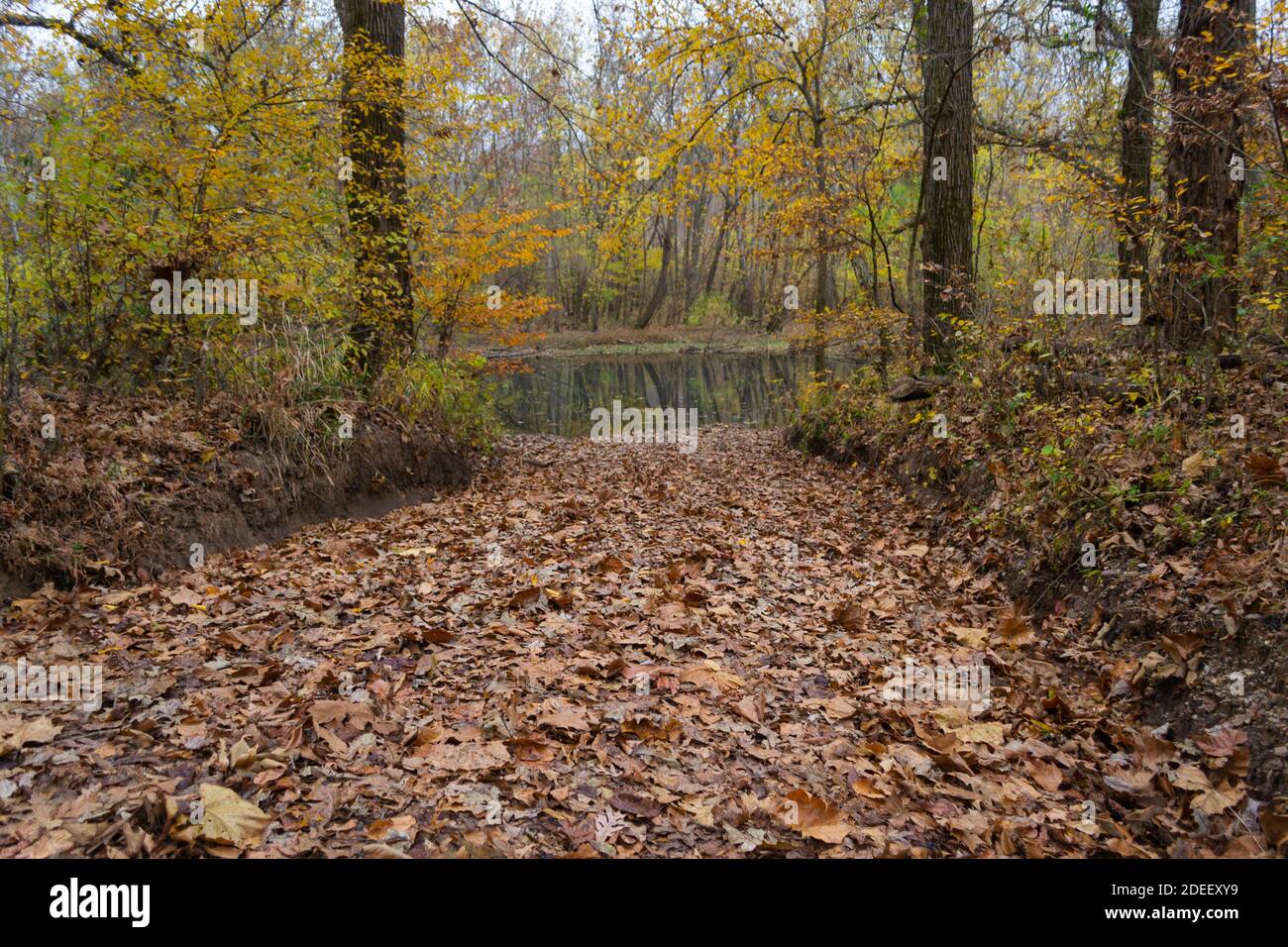 Current River in Missouri during early November Stock Photo Alamy