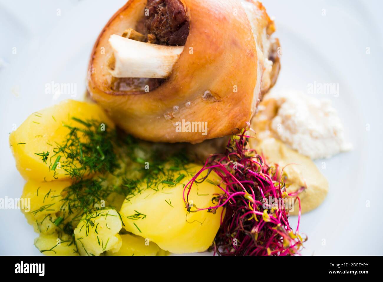 Traditional polish food Golonka pieczona w ciemnym piwie. Pork knuckle