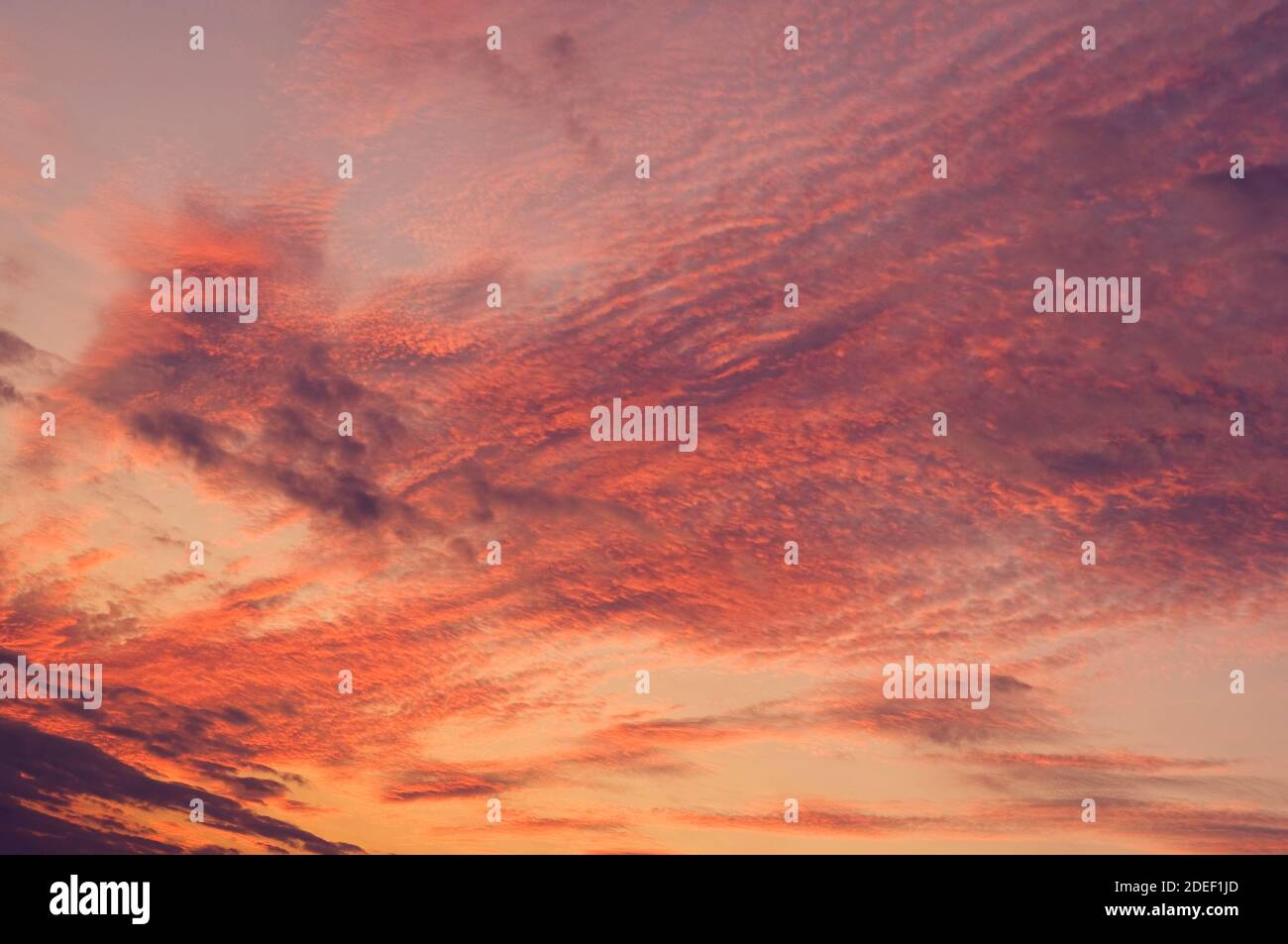 Fire sky background. Soft clouds with the hint of the sun at sunset. Many orange tones and patterns of clouds. Stock Photo