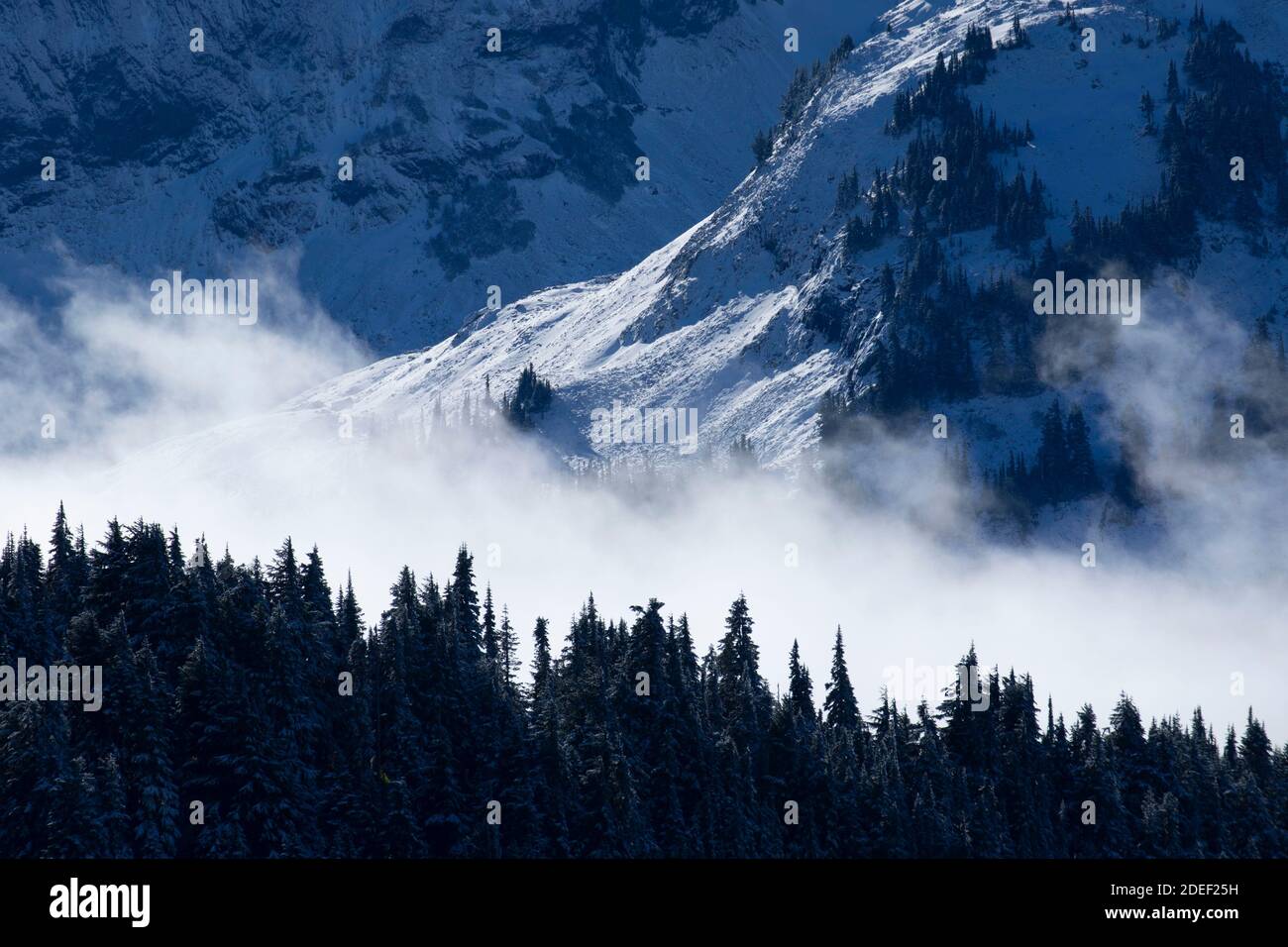 Tatoosh Range from Skyline Trail, Mt Rainier National Park, Washington Stock Photo
