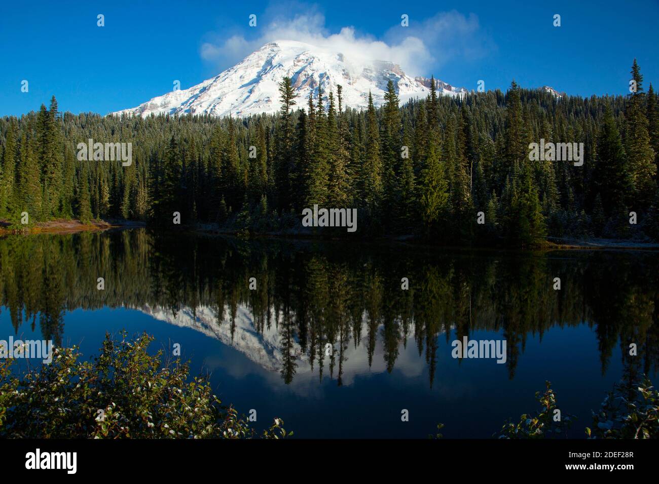 Mt Rainier from Reflection Lakes, Mt Rainier National Park, Washington Stock Photo