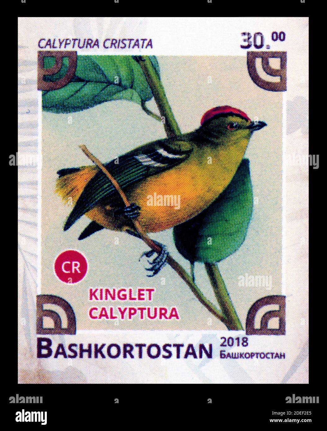 Stamp print in Bashkortostan, birds,Calyptura Cristata Stock Photo