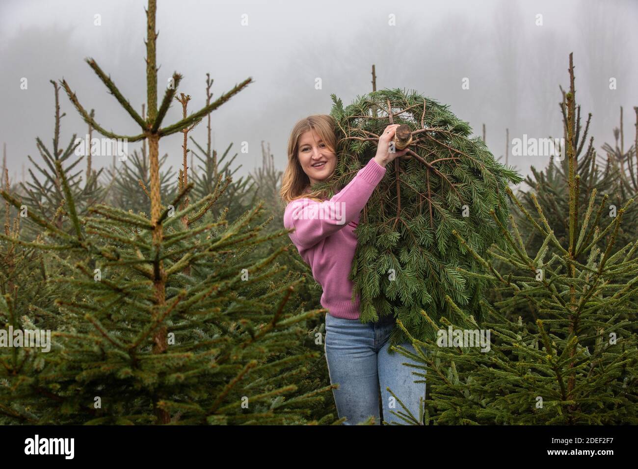 A young woman collects her Christmas tree ahead at a farm in