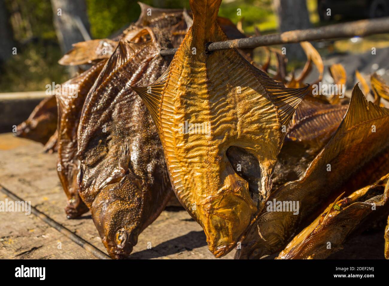 Fish processing plant. Freshly smoked fish. Smoked flounder Stock Photo