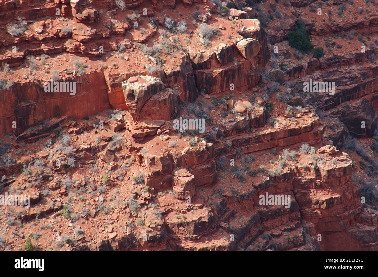 Layered red rocks in the Grand Canyon, Arizona, USA Stock Photo