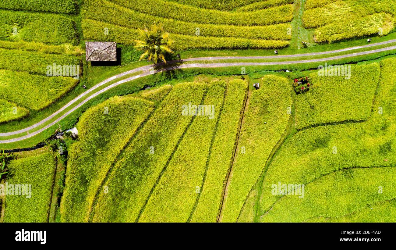 Aerial rice terrace hi-res stock photography and images - Alamy