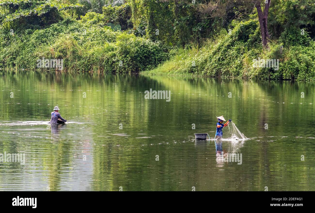 Men and women cockling and fishing in reservoir across from Likas Bay Kota Kinabalu Sabah Borneo