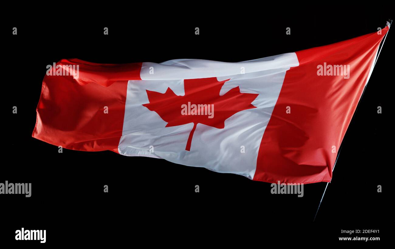 Canadian flag blowing in the wind isolated against a black background, studio shot. Stock Photo