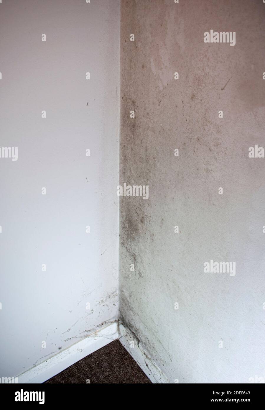 Heavy molding in a corner of a white wall Stock Photo