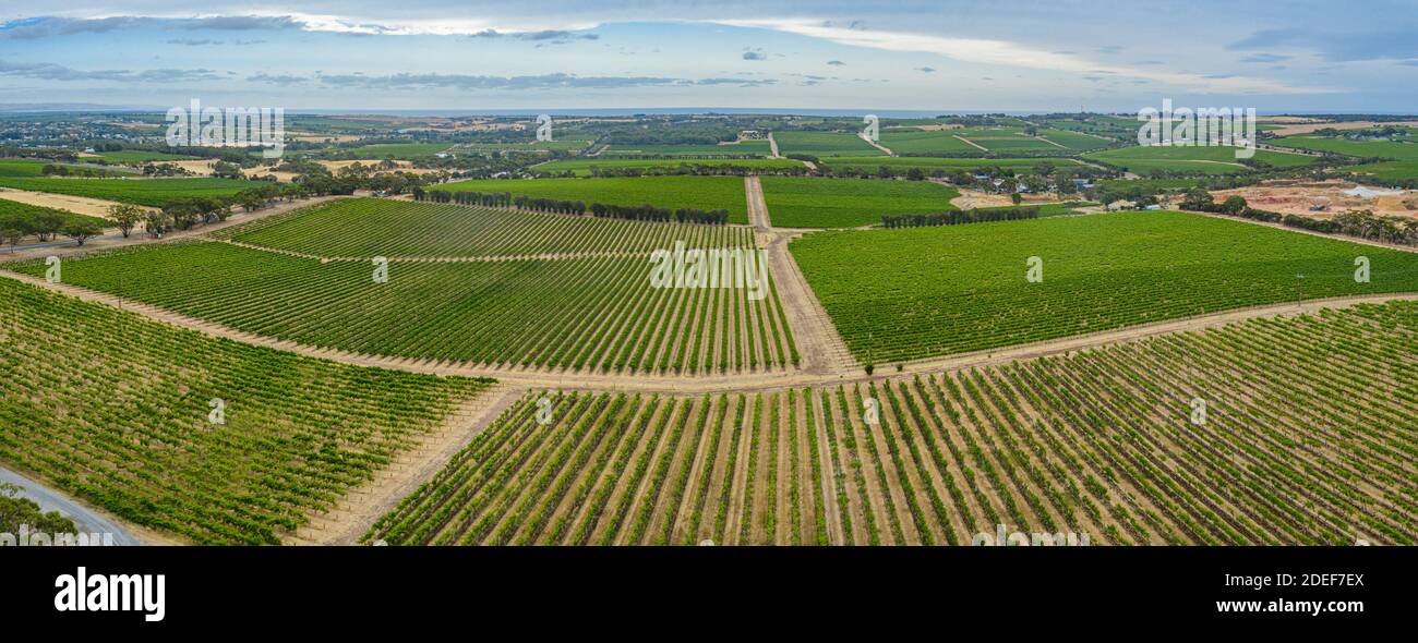 Aerial view of vineyards at McLaren Vale in Australia Stock Photo Alamy