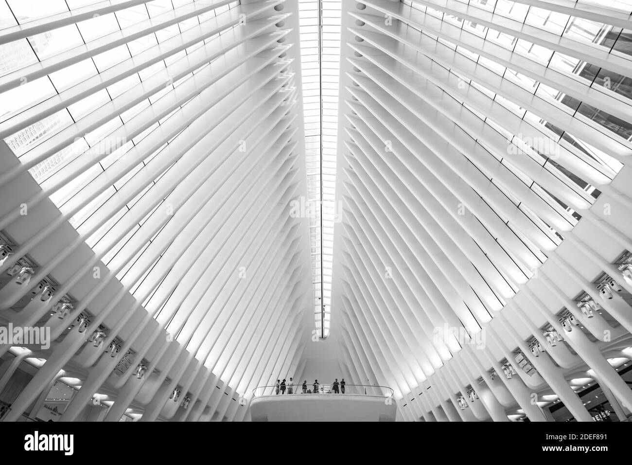 Abstract of the Oculus, World Trade Center, New York Stock Photo