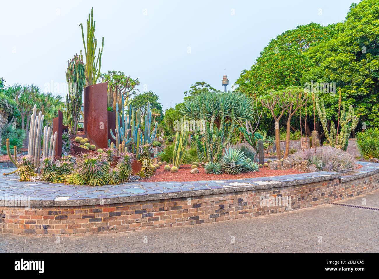 Sydney botanical garden in Australia Stock Photo - Alamy