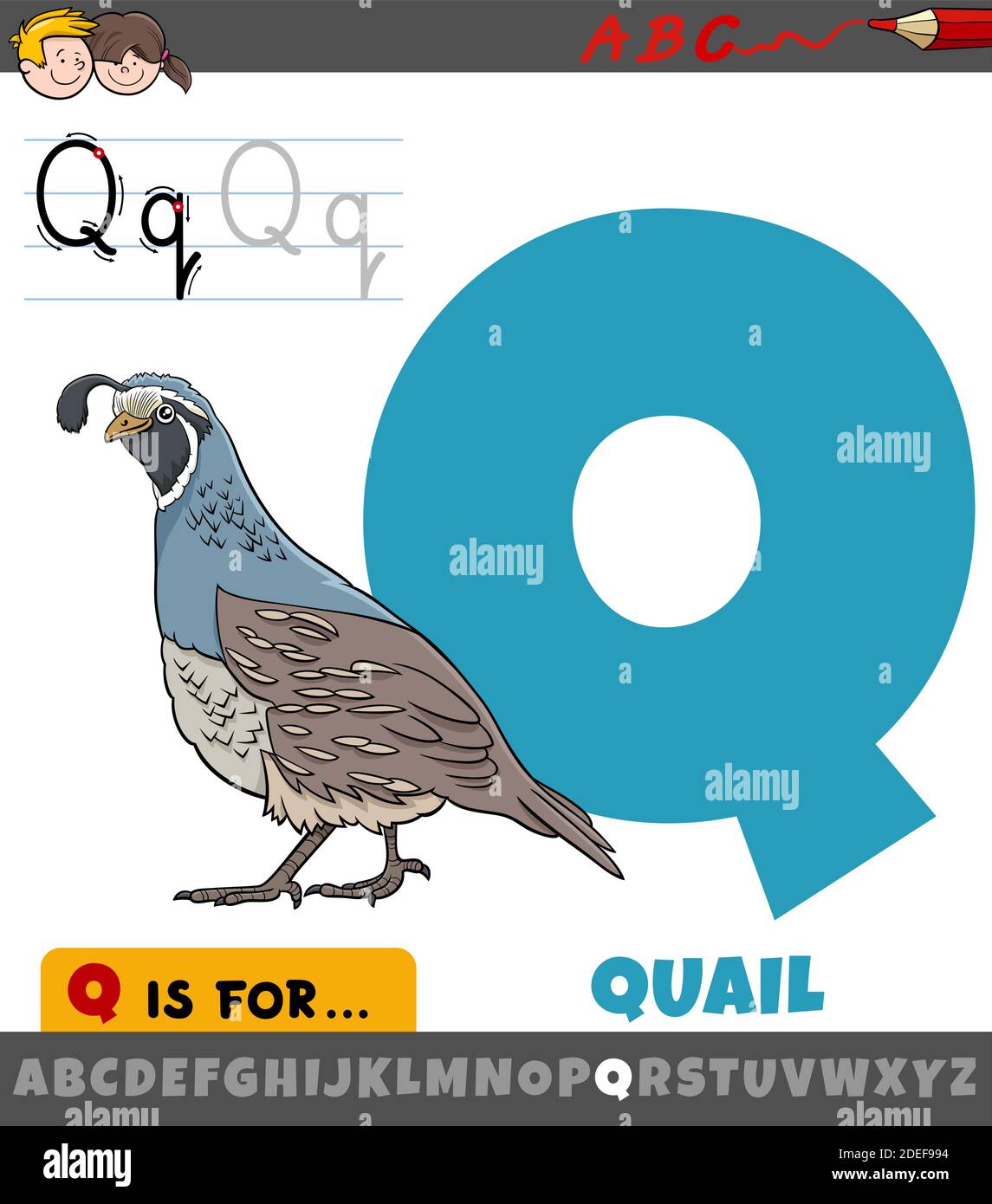 Educational cartoon illustration of letter Q from alphabet with quail