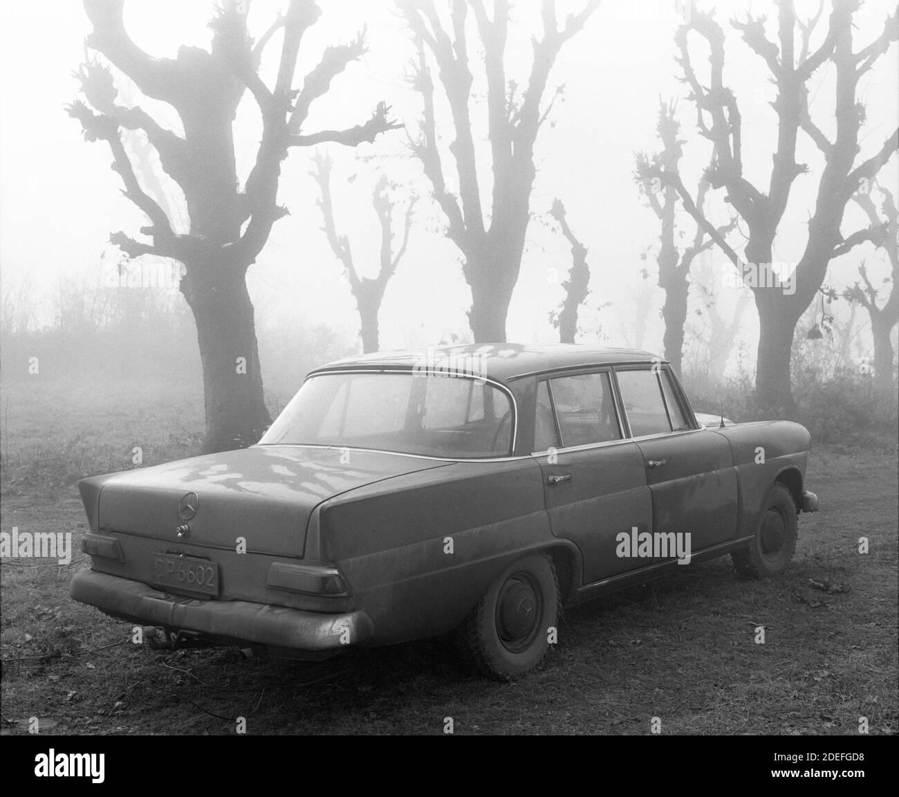 Old car parked in the misty forest. Stock Photo