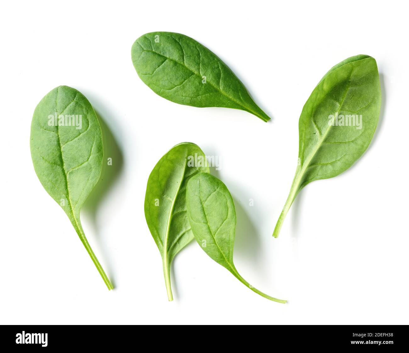 fresh green spinach leaves isolated on white background, top view Stock ...