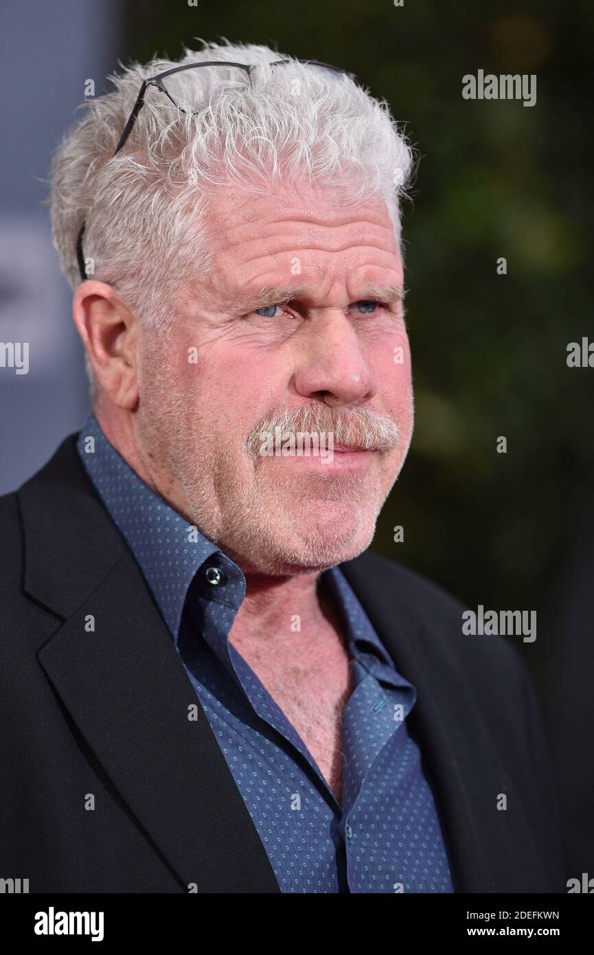 Ron Perlman attends The 30th Anniversary Screening of 'When Harry Met Sally' Opening Night at the 2019 10th Annual TCM Classic Film Festival on April 11, 2019 in Los Angeles, CA, USA. Photo by Lionel Hahn/ABACAPRESS.COM Stock Photo