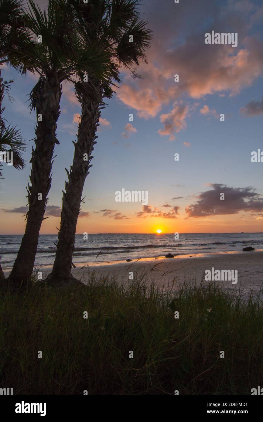 Beautiful beach in Florida Stock Photo Alamy